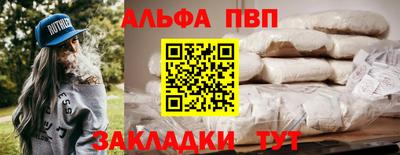 гашик Моздок