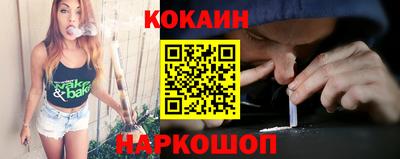 гашик Моздок