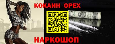 гашик Моздок