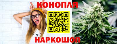 гашик Моздок