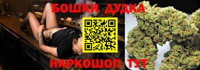 гашик Моздок