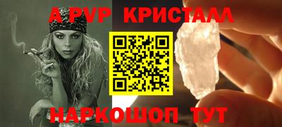 гашик Моздок