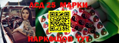 гашик Моздок