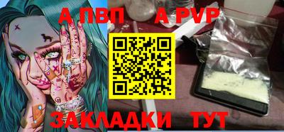 гашик Моздок