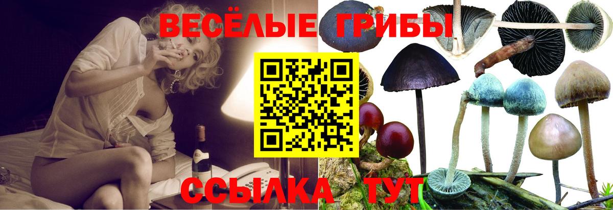 Псилоцибиновые грибы ЛСД Арсеньев
